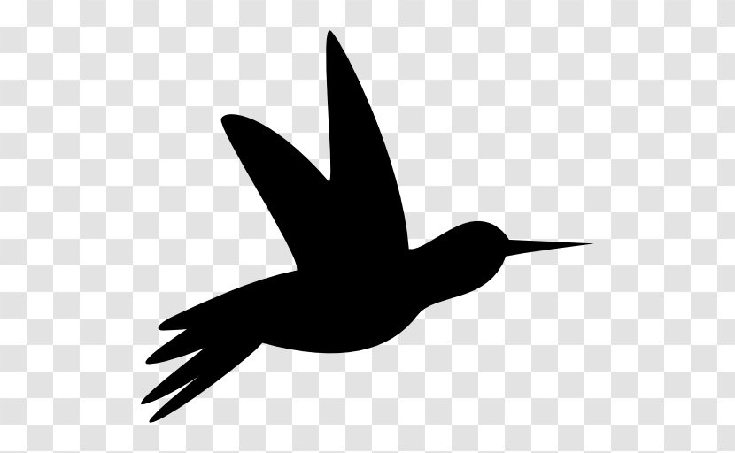 Hummingbird - Black And White - Animal Silhouettes Transparent PNG