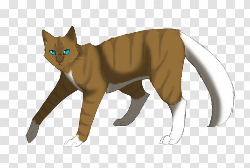Kitten Whiskers Domestic Short-haired Cat Wildcat Warriors Transparent PNG