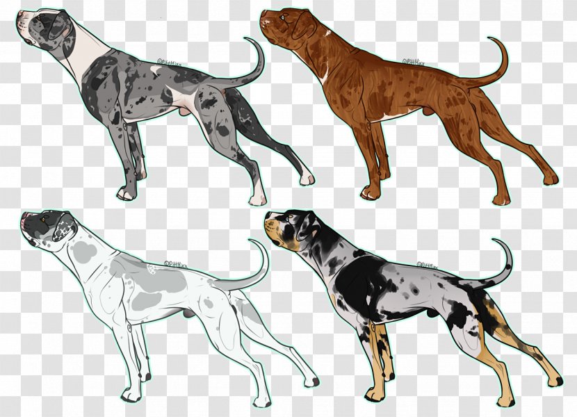 Dog Breed Great Dane Sporting Group Crossbreed - Catahoula Transparent PNG