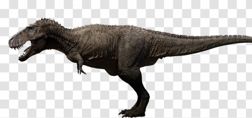 Tyrannosaurus Torvosaurus Carcharodontosaurus Meat-Eating Dinosaurs Suchomimus - Dinosaur Transparent PNG