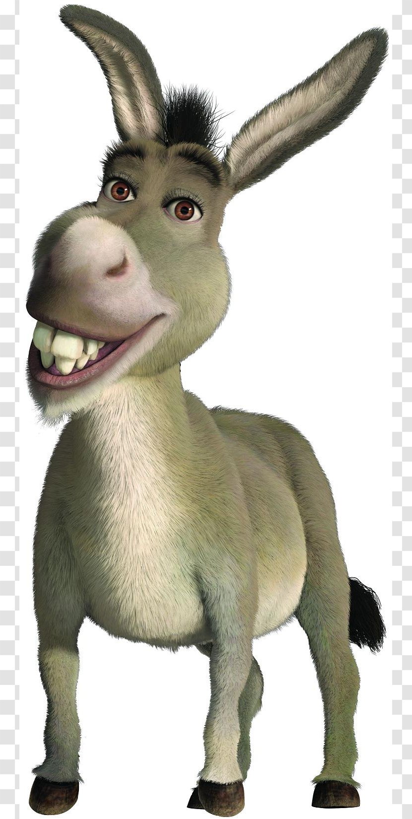 Donkey Shrek The Musical Princess Fiona Film Series - Organism Transparent PNG
