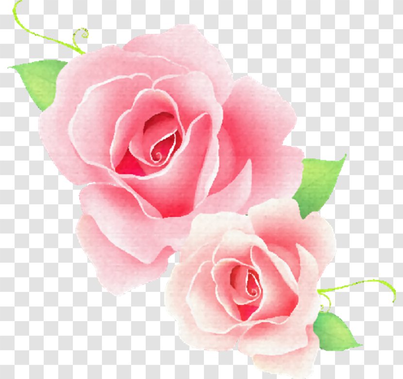 Vector Graphics Rose Clip Art Image Flower - Zy Transparent PNG