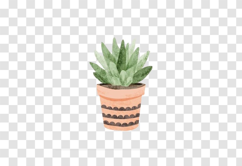 Succulent Plant Cactaceae Drawing Printmaking Illustration - Color - Aloe Multivessel Transparent PNG