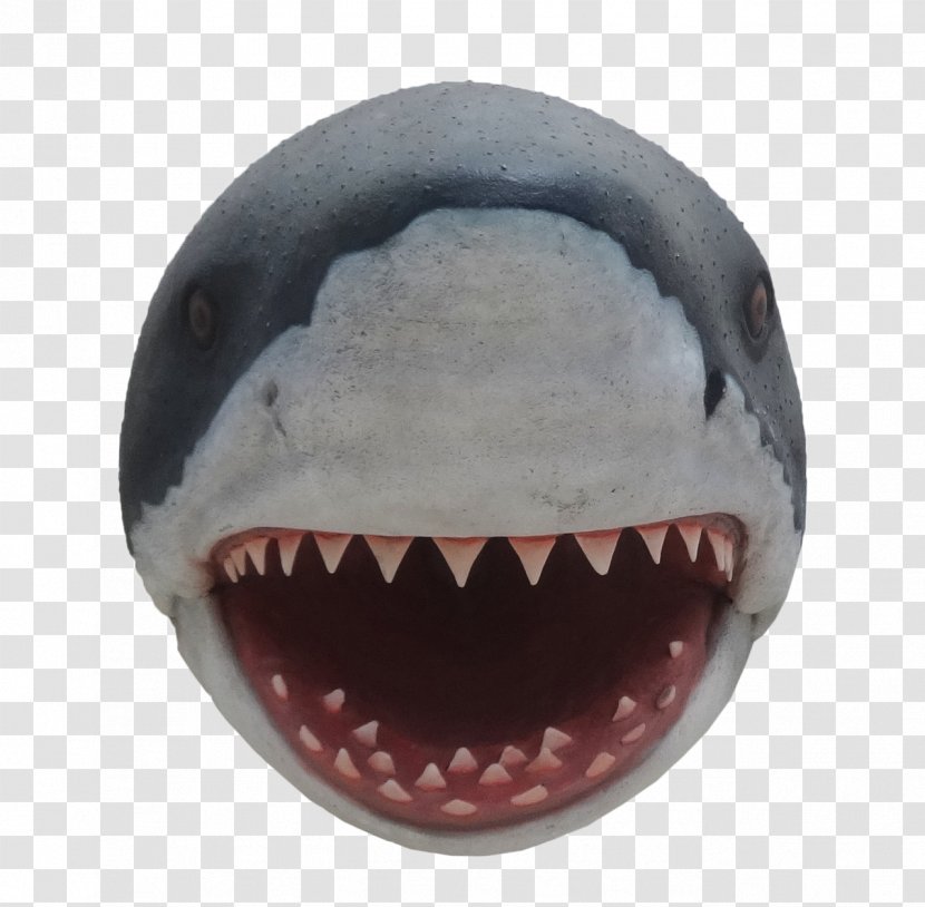 Great White Fish Chicken Shark Statue - Nose Transparent PNG
