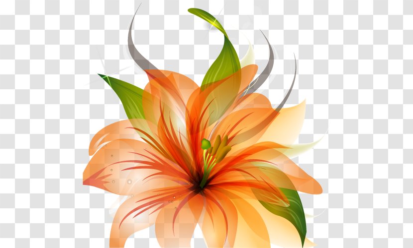 Floral Design Flower Transparent PNG
