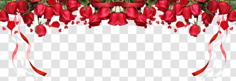 Beach Rose Red Garden Roses Pink - Family - Creative Transparent PNG