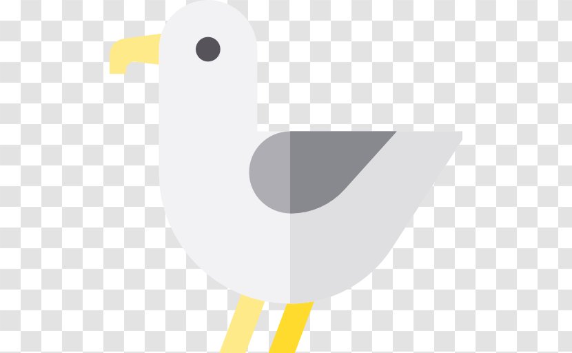 Bird Gulls Animal - Wing - Seagull Transparent PNG