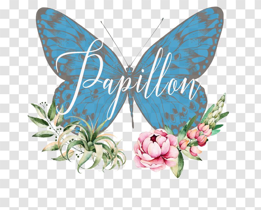 Always Thyme Flowers For Weddings Petal Town Papillon Floral Design - Moth - Wedding Transparent PNG