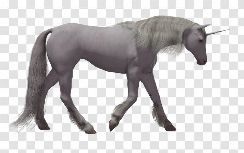 Unicorn 3D Computer Graphics PhotoScape - Mustang Horse Transparent PNG