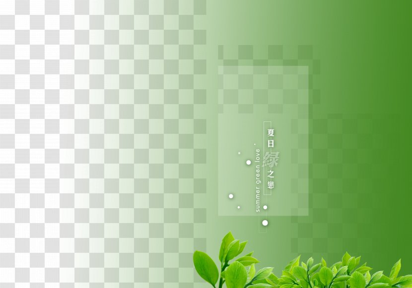 Green Pattern - Computer - Wedding Photo Album Background Transparent PNG
