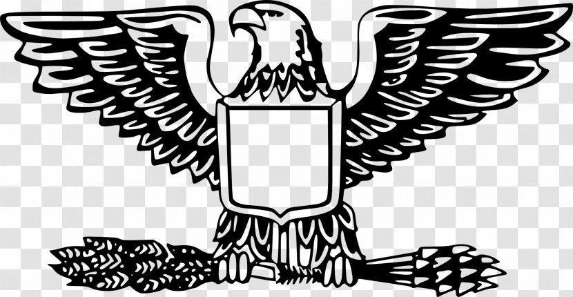 Bald Eagle United States Clip Art - Emblem Vector Transparent PNG