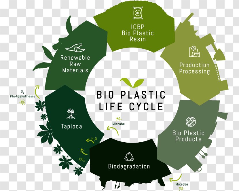 Bioplastic Biodegradable Plastic Biodegradation Raw Material - Biomass - Carbon Footprint Transparent PNG