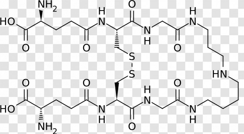 Trypanothione Peptide Glutathione Enzyme Substrate Reproterol - Symmetry - Ox Transparent PNG