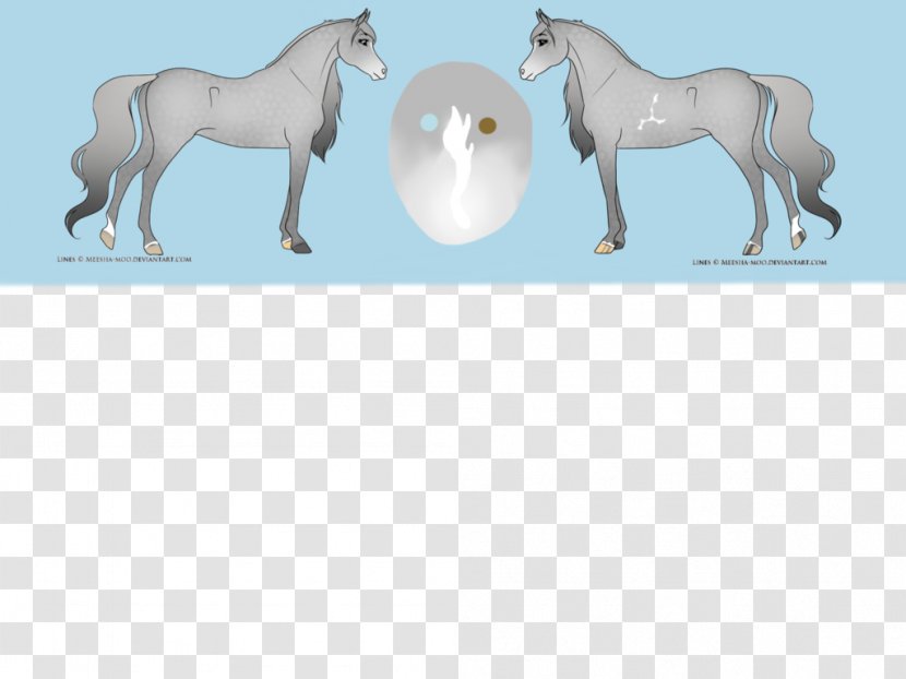 Foal Mane Mustang Stallion Mare - Horse Supplies Transparent PNG