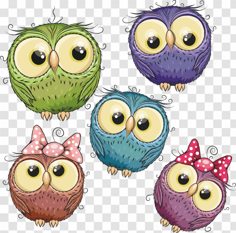 Owl Bird Cartoon Image Animation - Drawing - Decking Transparent PNG