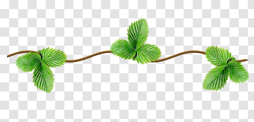 Mint Icon - Grass - Free Green Shoots Creative Pull Transparent PNG