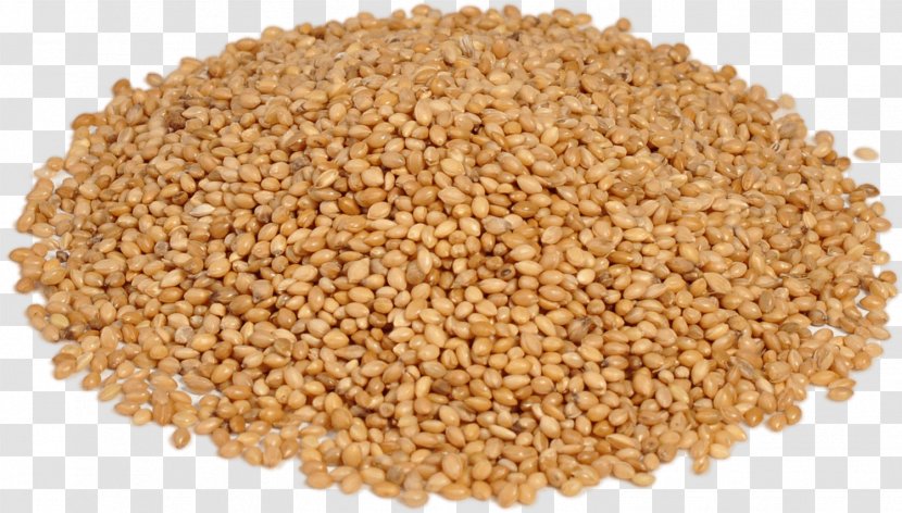 Mealberry GmbH Cereal Germ Guizotia Abyssinica Safflower - Superfood - Carrot Block Transparent PNG