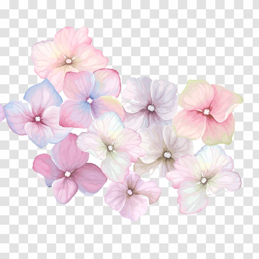 Floral Design Pink Flowers Pattern - Petal - Flower Transparent PNG