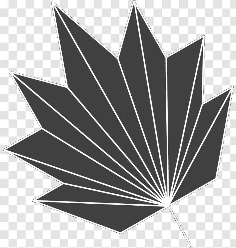 Black & White - Tree - M Leaf Line Angle Transparent PNG