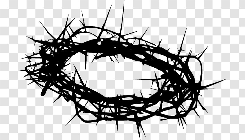 Crown Of Thorns Clip Art Image Christian Cross Prince The Sun - Twig - Spines And Prickles Transparent PNG