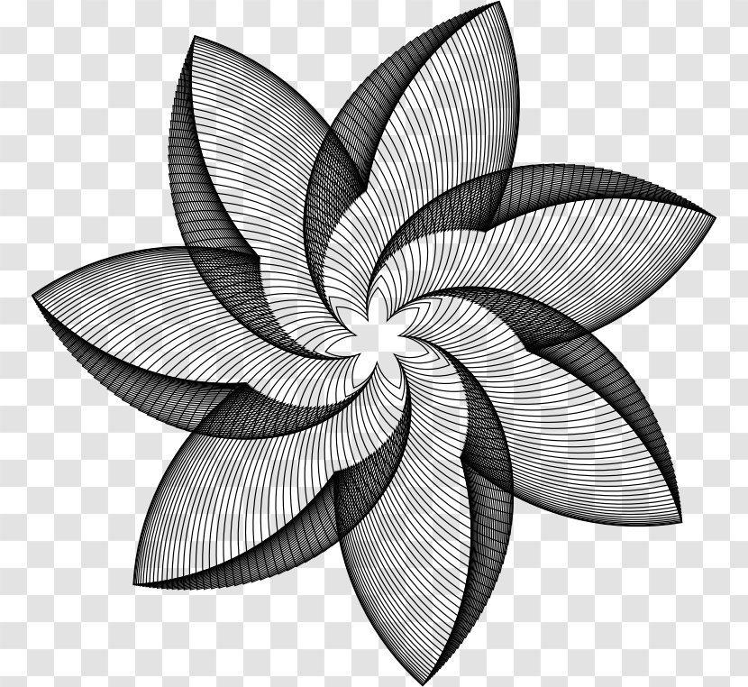 Geometry Line Art Flower - Color Transparent PNG