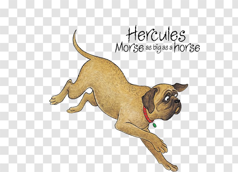 Dog Breed Hairy Maclary From Donaldson's Dairy And Zachary Quack Friends: Book Floor Puzzle English Mastiff - Leash Transparent PNG