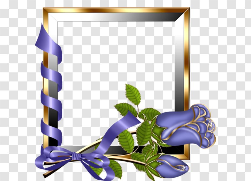 Picture Frame Purple Flower Rose - Petal - Ribbon Roses Border Transparent PNG