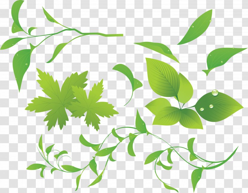 Plant Clip Art - Green Transparent PNG