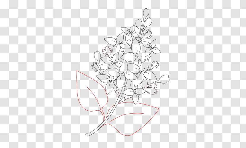 Drawing Visual Arts Black And White - Symmetry - Chrysanthemum Transparent PNG