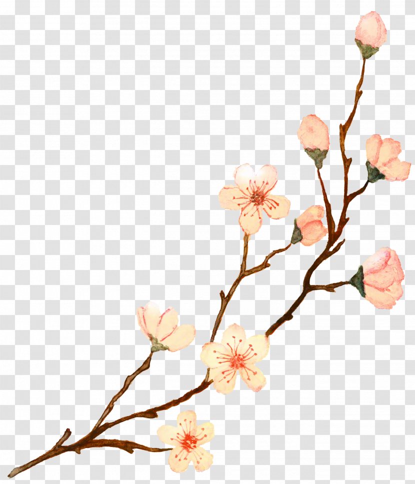 Wedding Spring Flowers - Cut - Bud Magnolia Transparent PNG