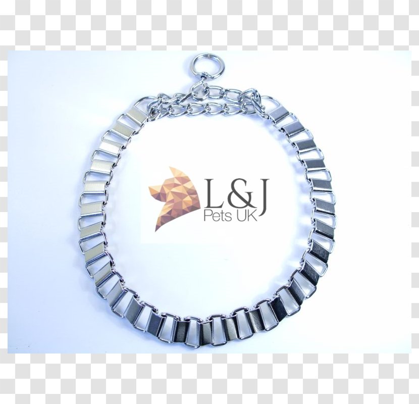 Earring Locket Necklace Choker No Other Gods: Confronting Our Modern Day Idols - Pendant - Dog Chain Transparent PNG