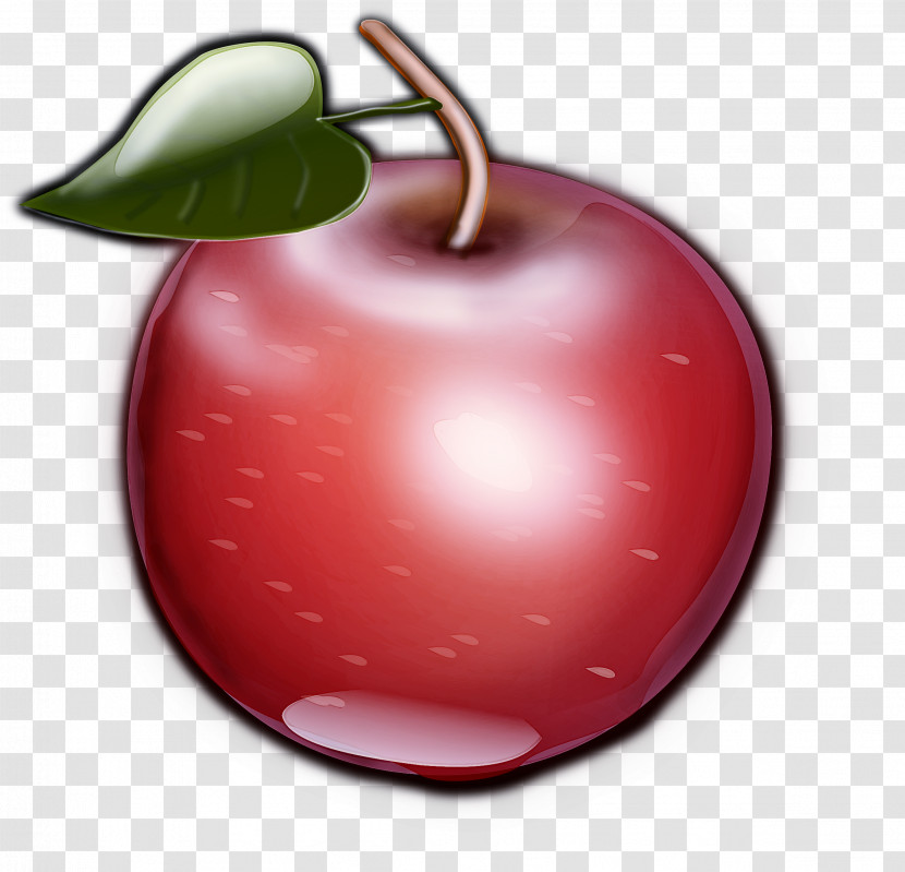 Fruit Red Tree Cherry Plant Transparent PNG