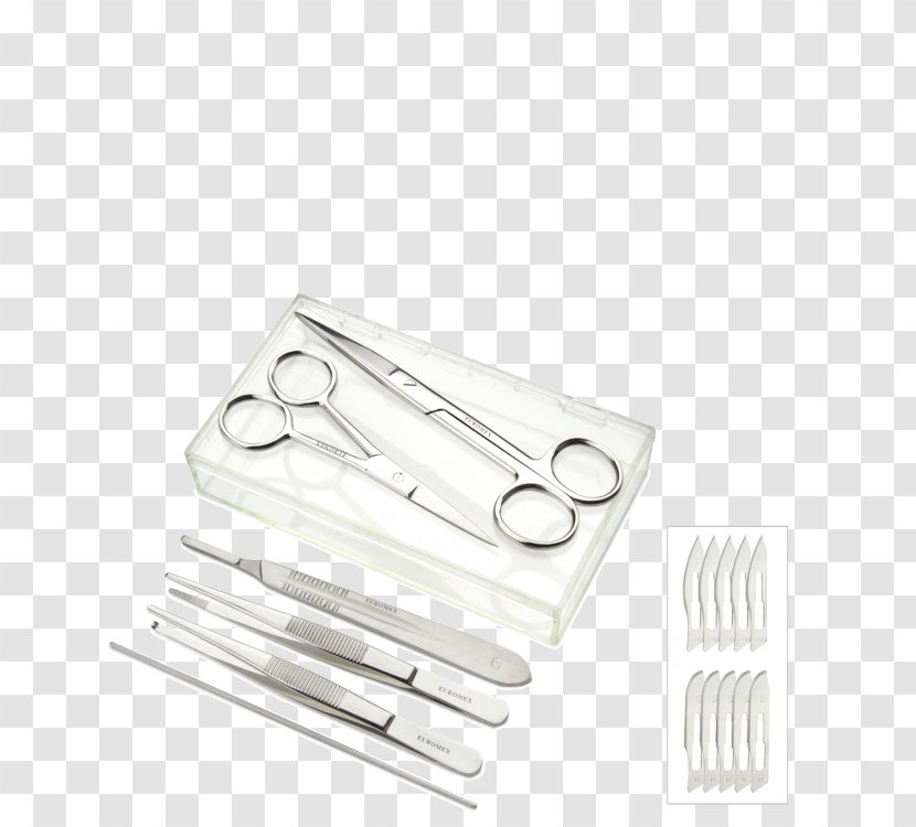 Tool Cutlery - Tableware - Fish Koi Transparent PNG