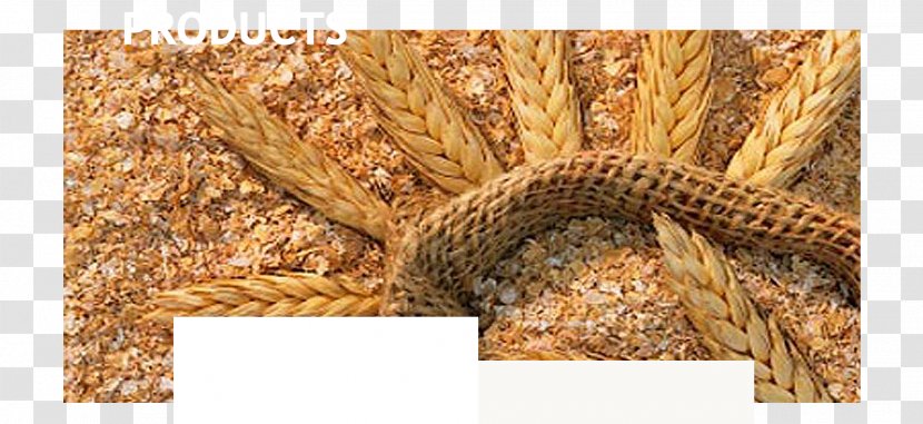 Bran Flour Oat Gluten Common Wheat - Bread - Grains Transparent PNG