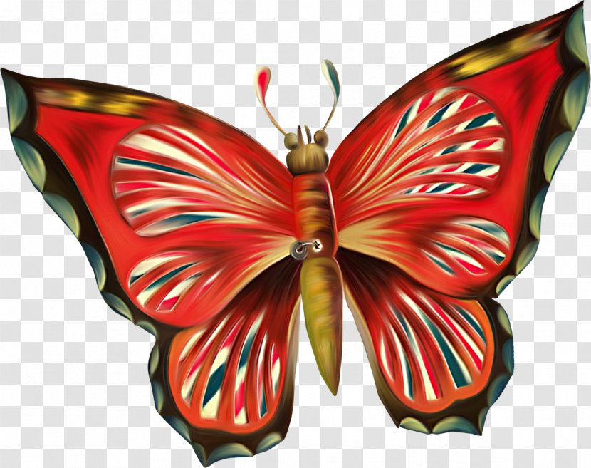 Butterfly Pollinator Clip Art - Painting Transparent PNG