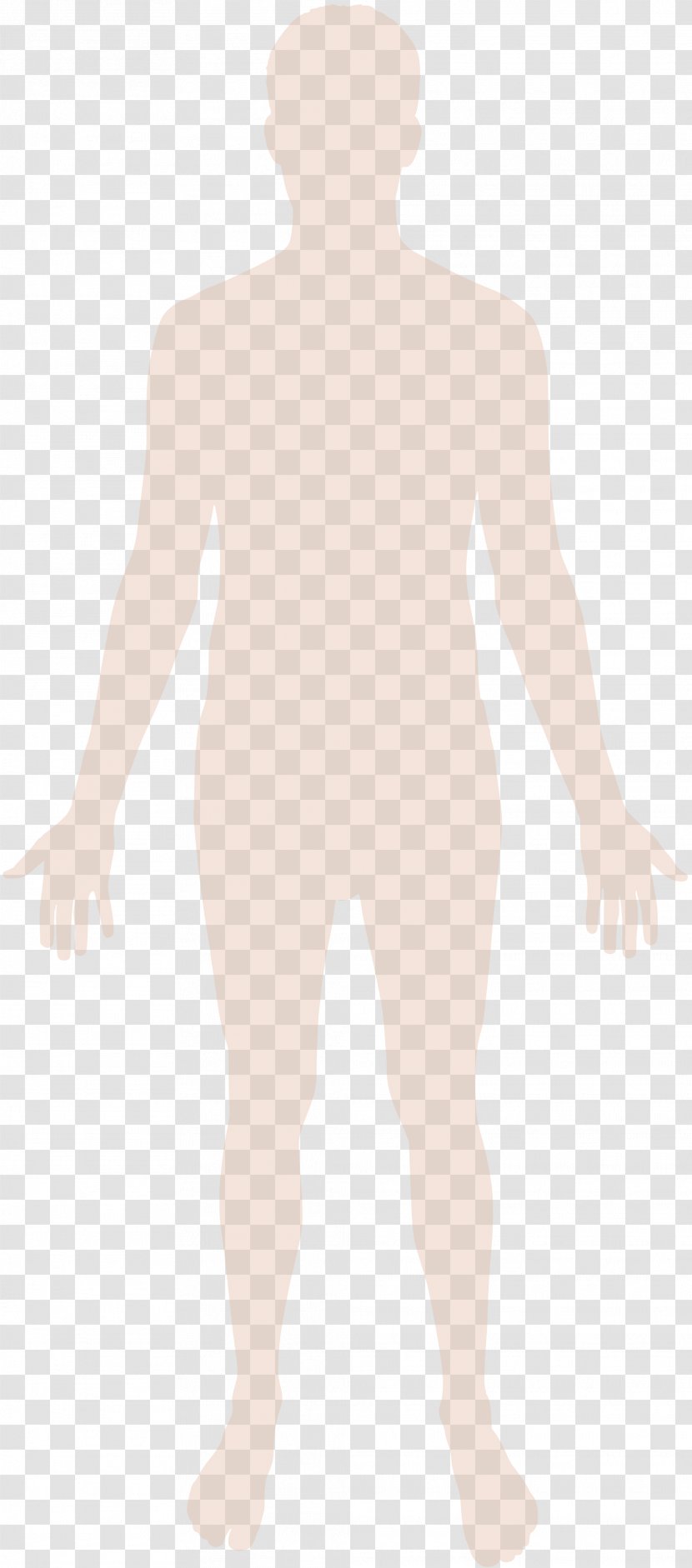 Human Body Homo Sapiens Hand - Frame - Silhouette Transparent PNG