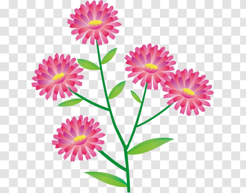 Flower Royalty-free Floral Design Clip Art - New York Aster Transparent PNG