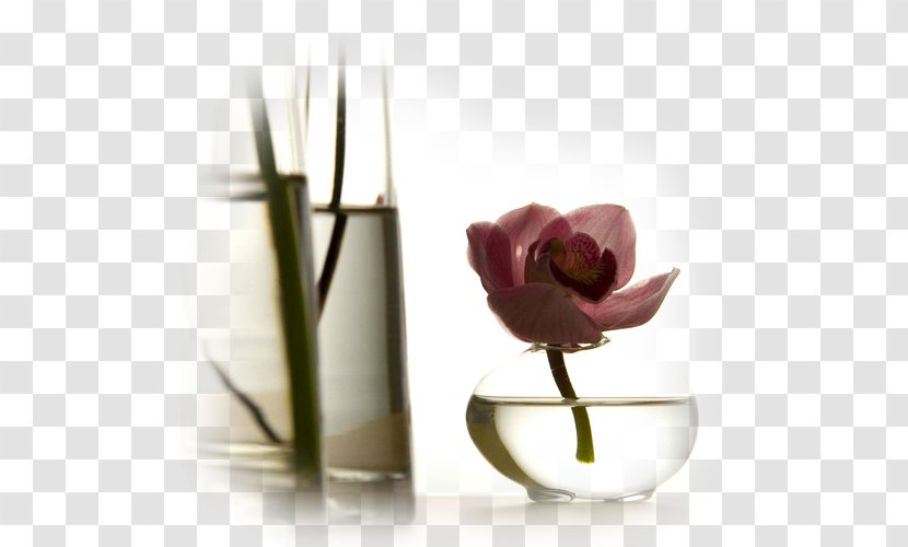 Still Life Photography Vase Flower - Cutlery Transparent PNG