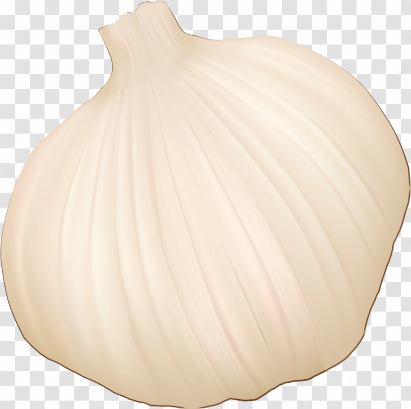 Onion Garlic Vase Transparent PNG
