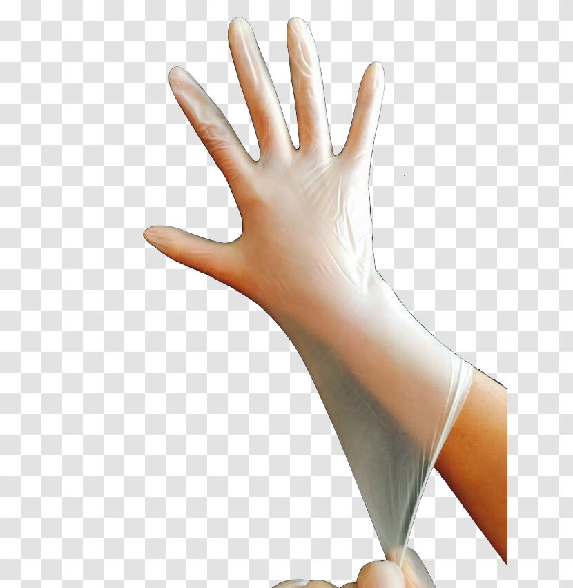Medical Glove Rubber International Safety Equipment Association Disposable - Hand Model Transparent PNG