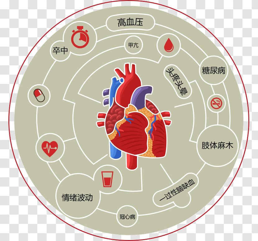 Heart Cardiovascular Disease Acute Myocardial Infarction - Area Transparent PNG