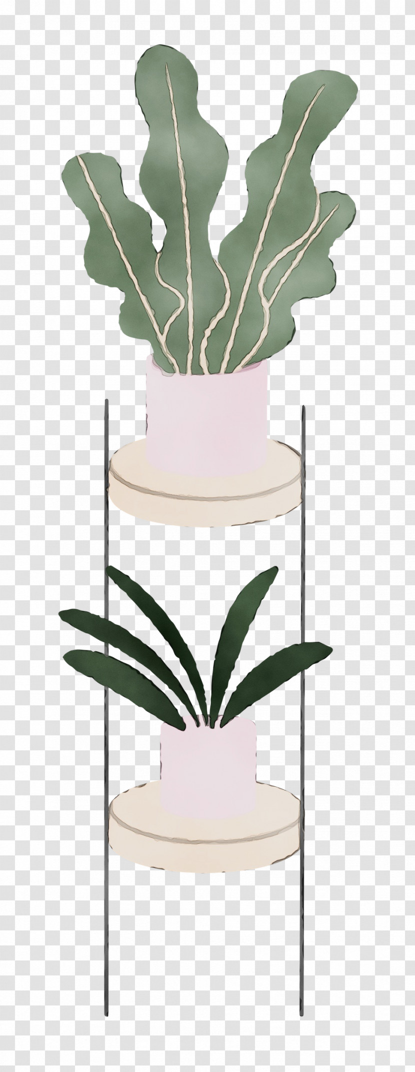 Plant Stem Leaf Flowerpot Flower Plant Transparent PNG