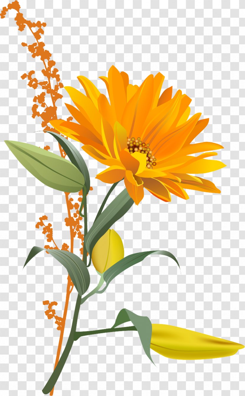 Flower - Daisy Family - Free Download Of Sunflower Icon Clipart Transparent PNG
