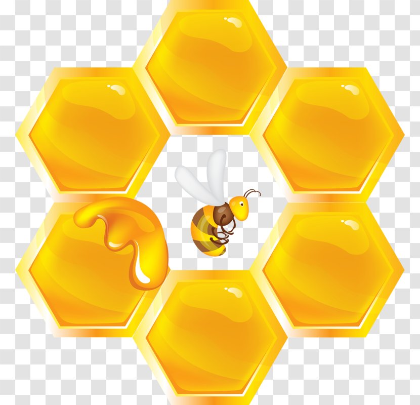 Honey Bee Honeycomb Insect - Bumblebee Transparent PNG