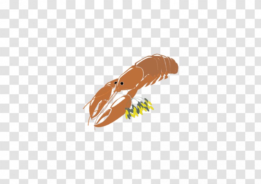 Lobster Seafood Cartoon - Palinurus Elephas Transparent PNG