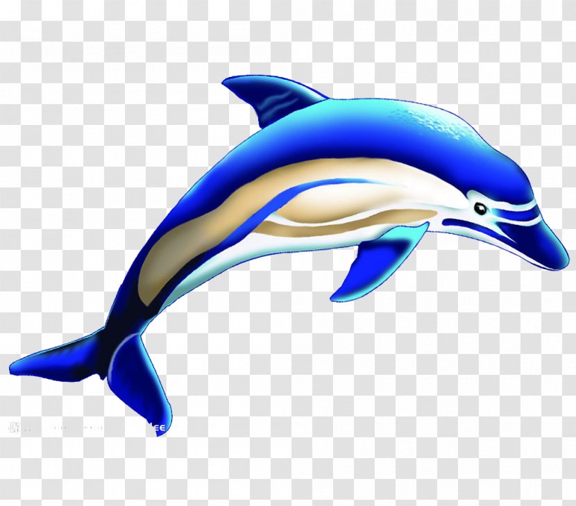 Common Bottlenose Dolphin Short-beaked Tucuxi Wholphin Killer Whale - 3D Blue Transparent PNG
