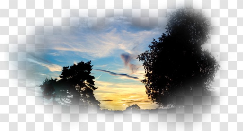 Desktop Wallpaper Sunset Sky Silhouette Sunrise - Television Transparent PNG