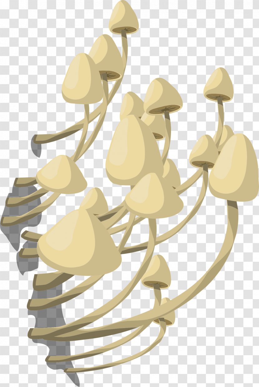 Amanita Muscaria Snow Fungus Edible Mushroom - Yellow Transparent PNG