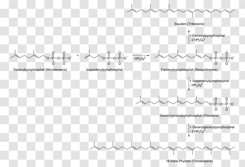 Document Handwriting Line Angle Terpene - Parallel Transparent PNG