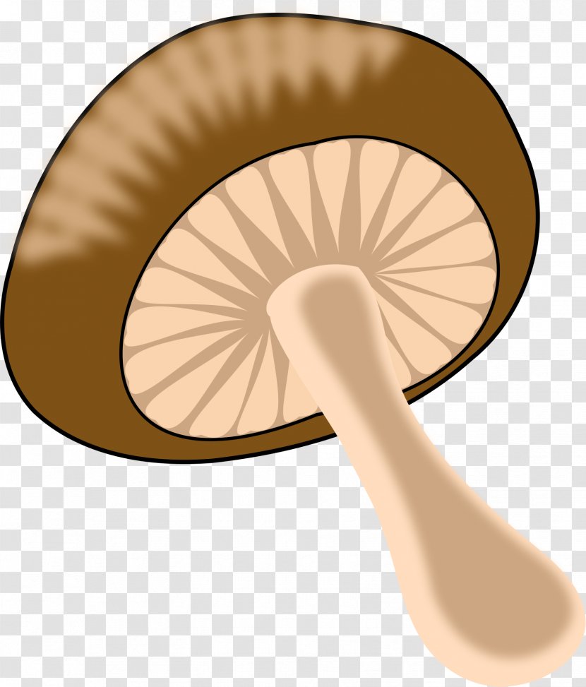 Common Mushroom Clip Art - Beige Transparent PNG